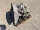 Getriebe F15 X14SZ OPEL Corsa B 1.4 i / X14SZ W4.18 |880-i