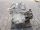 KH 5-Gang Schaltgetriebe 3201073B08 NISSAN Micra K11 1.0i 16V 40kw 2000 |099