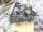 20TT01 5-Gang Schaltgetriebe 2222QG CITROEN C1 PM/PN 1.4 HDi 40kw 2005 |769